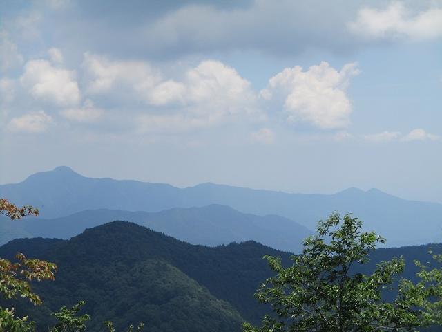 画像7: 8月8日に岡田ガイドのコースで東京都と山梨県にまたがる日本300名山・山梨100名山の 三頭山 へ行ってきました♪