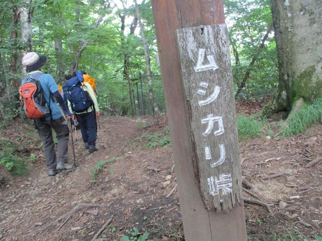 画像13: 8月8日に岡田ガイドのコースで東京都と山梨県にまたがる日本300名山・山梨100名山の 三頭山 へ行ってきました♪