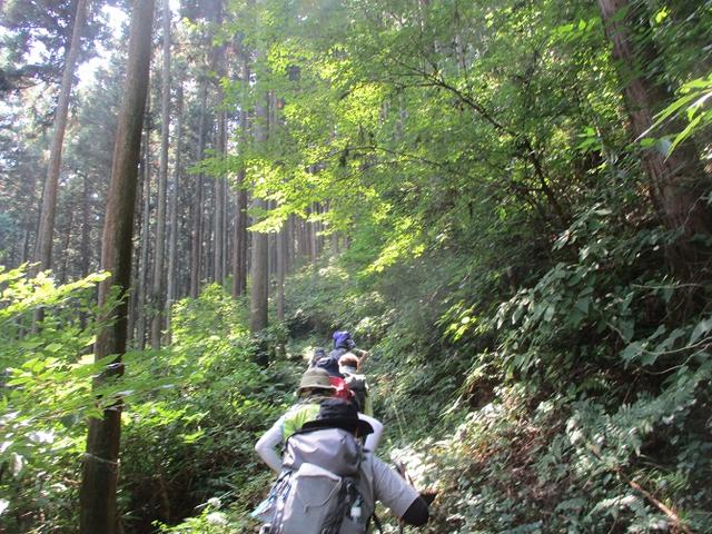 画像1: 8月10日に岡田ガイドの山旅会現地集合 「大塚山」 へ行ってきました!