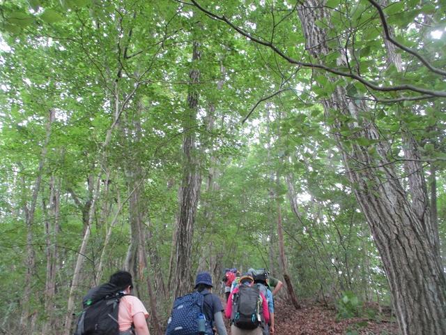 画像6: 8月10日に岡田ガイドの山旅会現地集合 「大塚山」 へ行ってきました!