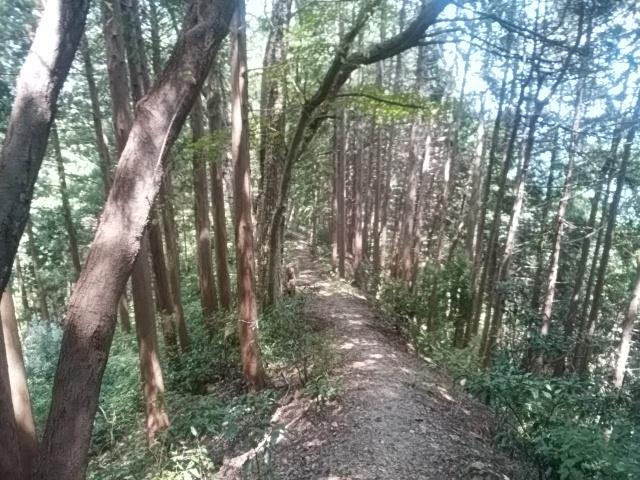 画像12: 来年冬の現地集合ツアー素材を探して北高尾周辺を歩いてみました!