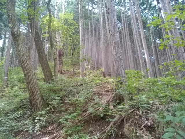 画像5: 来年冬の現地集合ツアー素材を探して北高尾周辺を歩いてみました!