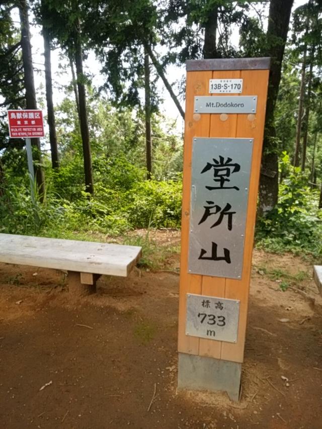 画像8: 来年冬の現地集合ツアー素材を探して北高尾周辺を歩いてみました!
