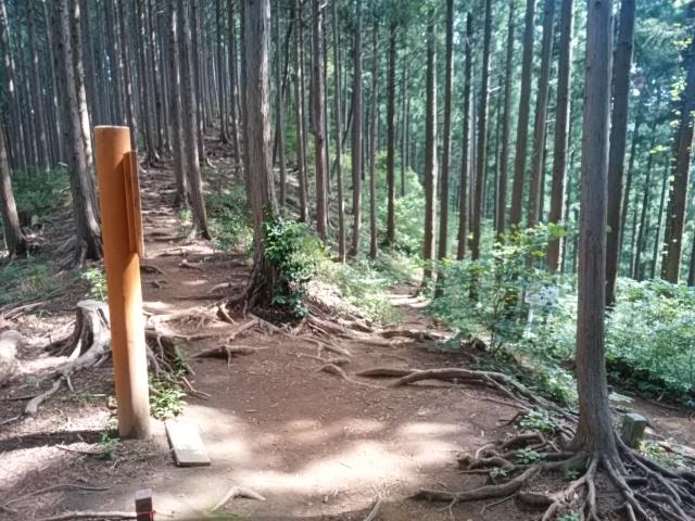 画像7: 来年冬の現地集合ツアー素材を探して北高尾周辺を歩いてみました!