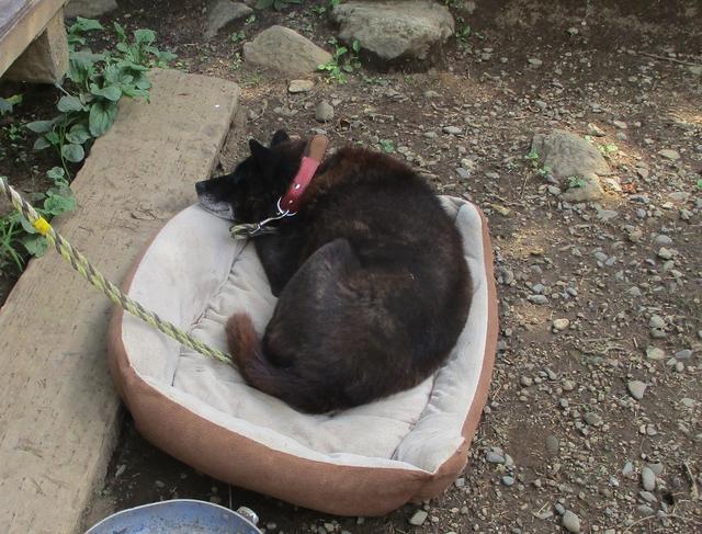 画像3: 本日は山旅会ツアー10月までの催行状況のご案内です!