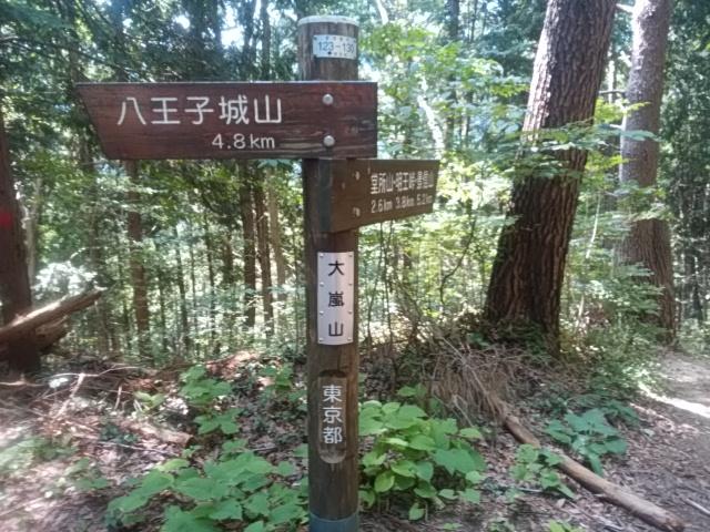 画像11: 来年冬の現地集合ツアー素材を探して北高尾周辺を歩いてみました!