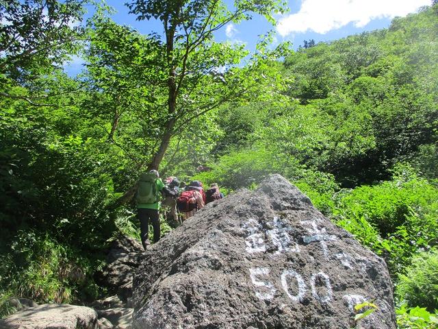 画像11: 8月13日から岡田ガイドのコースで 「ゆっくり歩く鏡平と弓折岳」 に行ってきました!