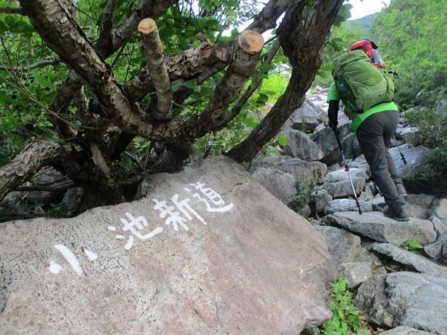 画像5: 8月13日から岡田ガイドのコースで 「ゆっくり歩く鏡平と弓折岳」 に行ってきました!