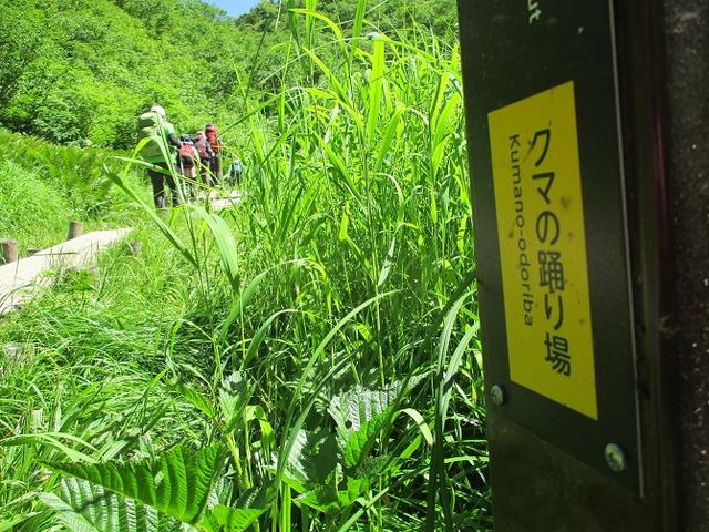 画像10: 8月13日から岡田ガイドのコースで 「ゆっくり歩く鏡平と弓折岳」 に行ってきました!