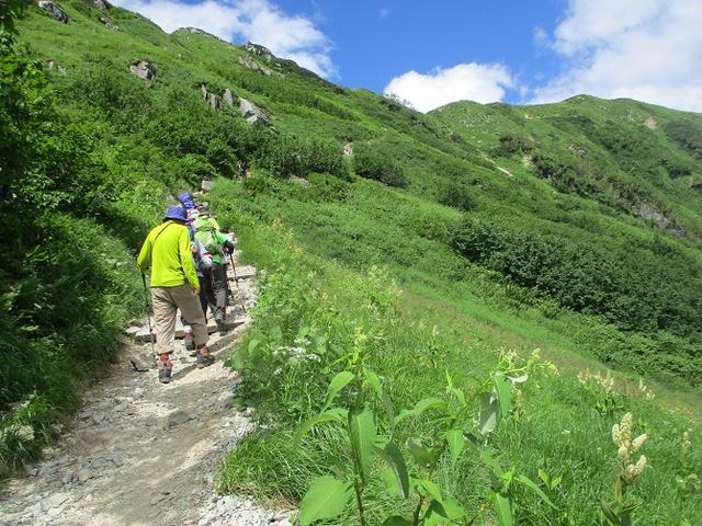 画像13: 8月13日から岡田ガイドのコースで 「ゆっくり歩く鏡平と弓折岳」 に行ってきました!