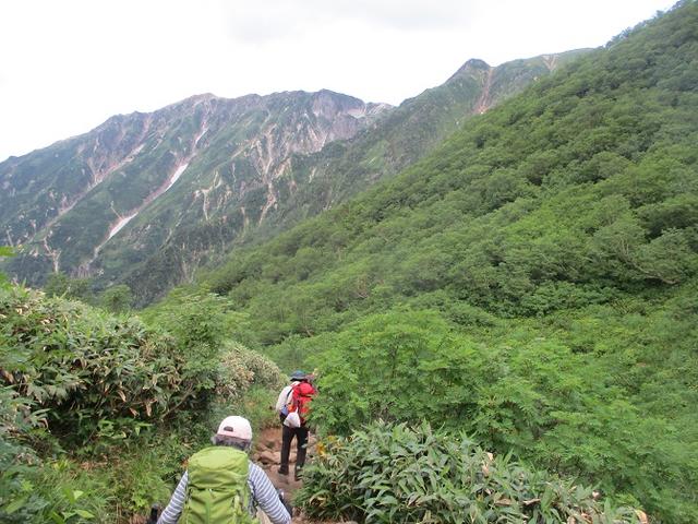 画像3: 8月13日から岡田ガイドのコースで 「ゆっくり歩く鏡平と弓折岳」 に行ってきました!