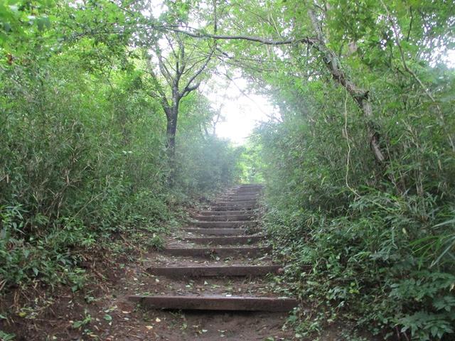 画像3: 9月の山旅会現地集合 「城山から景信山」 ツアーの下見に行ってきました!