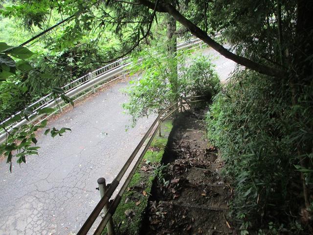 画像10: 9月の山旅会現地集合 「城山から景信山」 ツアーの下見に行ってきました!