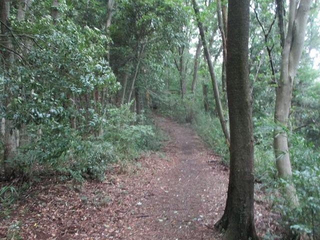 画像1: 9月の山旅会現地集合 「城山から景信山」 ツアーの下見に行ってきました!