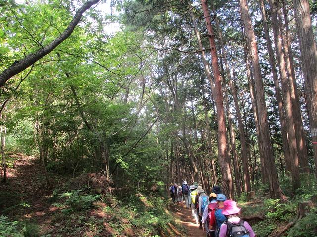 画像12: 8月17日に岡田ガイドの山旅会現地集合ツアーで、奥多摩の 日の出山 に行ってきました♪