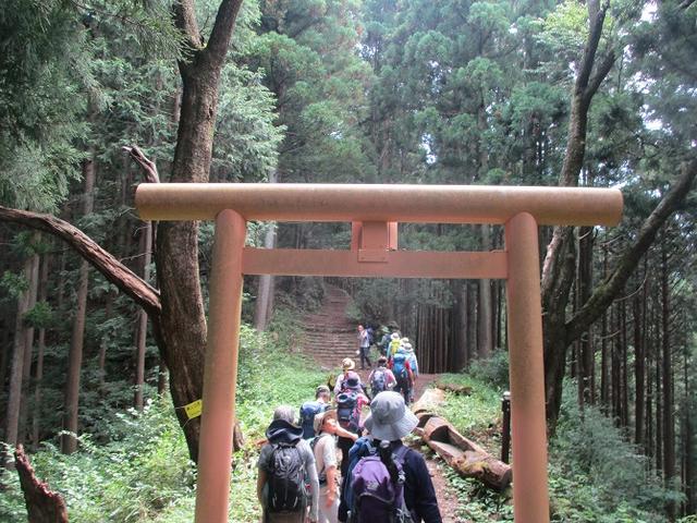 画像6: 8月17日に岡田ガイドの山旅会現地集合ツアーで、奥多摩の 日の出山 に行ってきました♪