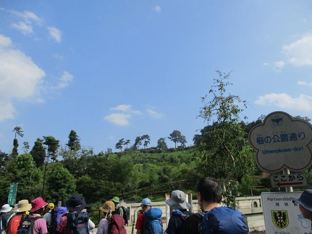 画像13: 8月17日に岡田ガイドの山旅会現地集合ツアーで、奥多摩の 日の出山 に行ってきました♪