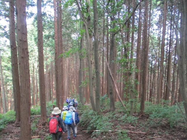 画像9: 8月17日に岡田ガイドの山旅会現地集合ツアーで、奥多摩の 日の出山 に行ってきました♪