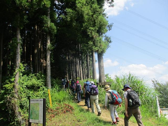 画像10: 8月17日に岡田ガイドの山旅会現地集合ツアーで、奥多摩の 日の出山 に行ってきました♪