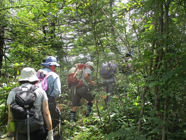 画像1: 8月23日に山旅会 「高峰山」 ツアーにいってきました!