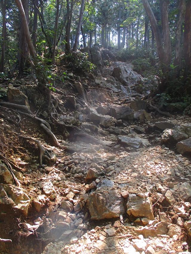 画像9: 山旅会 「ユガテから日和田山・巾着田」 ツアーの下見に行ってきました!