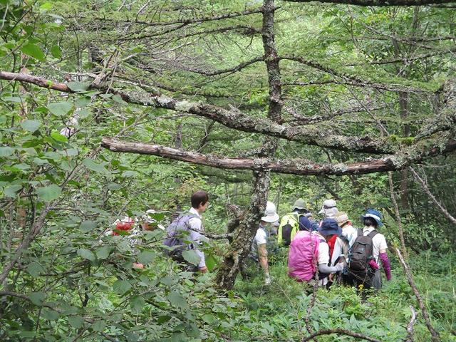 画像9: 8月23日に山旅会 「高峰山」 ツアーにいってきました!