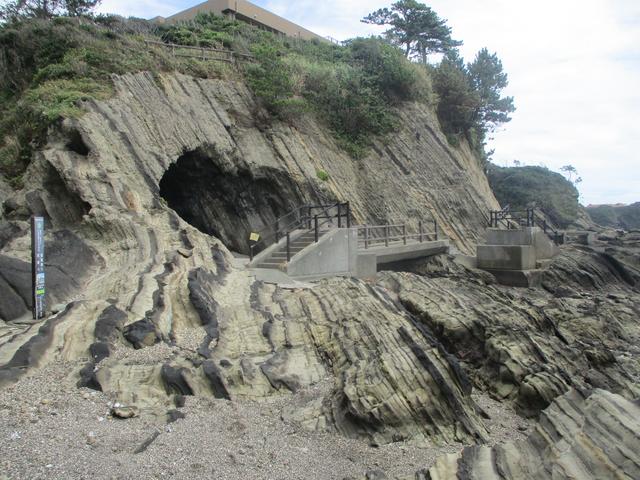 画像5: 来年夏のツアーの企画素材を探して三浦半島の荒崎海岸を歩いてみました!