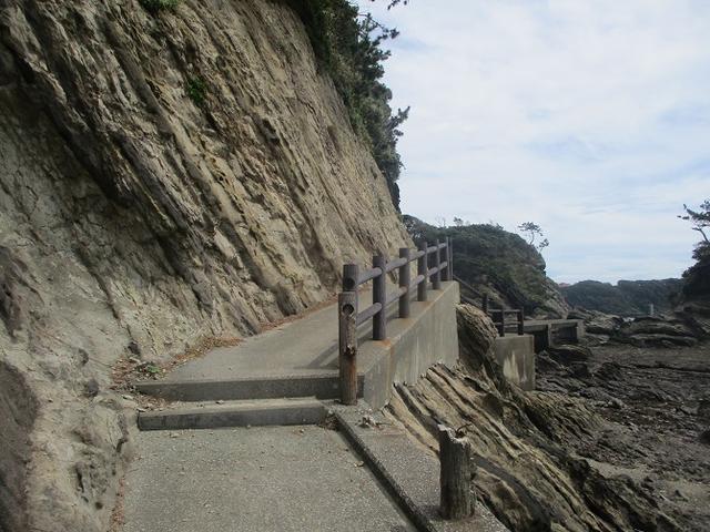 画像6: 来年夏のツアーの企画素材を探して三浦半島の荒崎海岸を歩いてみました!