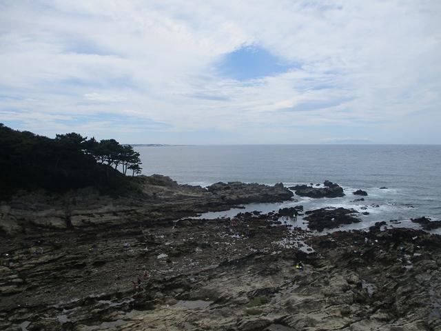 画像4: 来年夏のツアーの企画素材を探して三浦半島の荒崎海岸を歩いてみました!