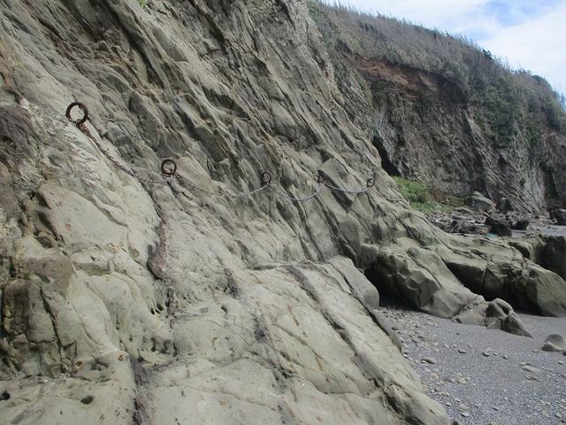 画像8: 来年夏のツアーの企画素材を探して三浦半島の荒崎海岸を歩いてみました!