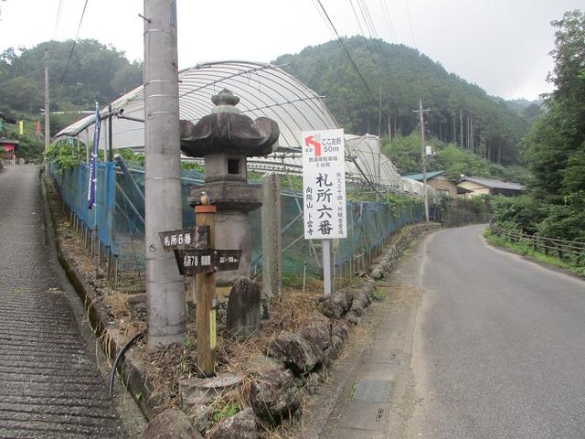 画像4: 9月の山旅会現地集合ツアー 「寺坂棚田から日向山」 の直前下見の報告です!