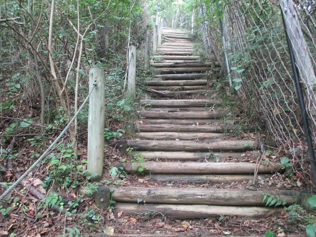 画像7: 9月の山旅会現地集合ツアー 「寺坂棚田から日向山」 の直前下見の報告です!
