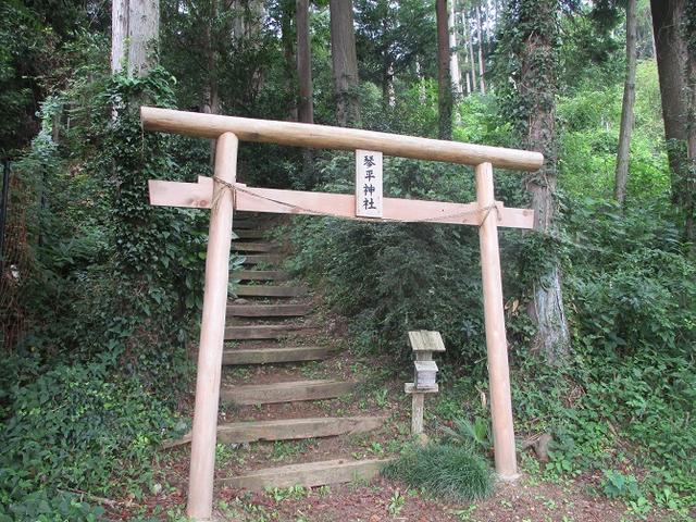 画像6: 9月の山旅会現地集合ツアー 「寺坂棚田から日向山」 の直前下見の報告です!