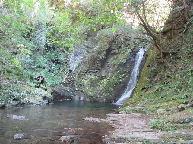 画像2: 10月の山旅会 「大台ヶ原」 ツアーのご案内です!