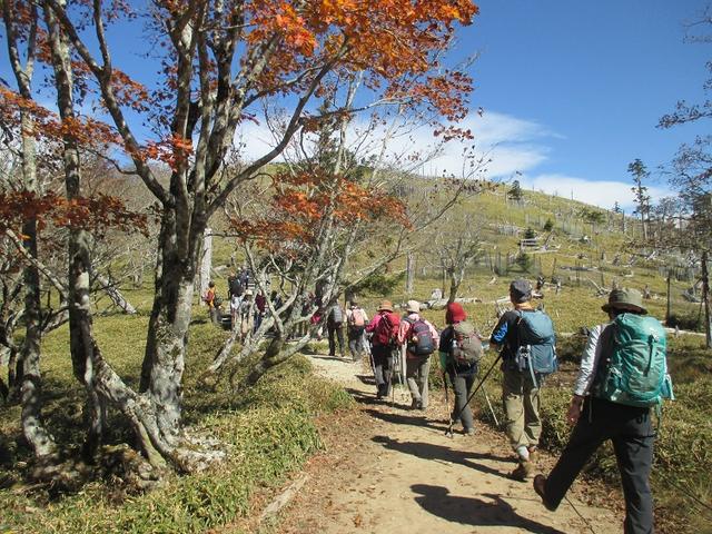 画像9: 10月の山旅会 「大台ヶ原」 ツアーのご案内です!