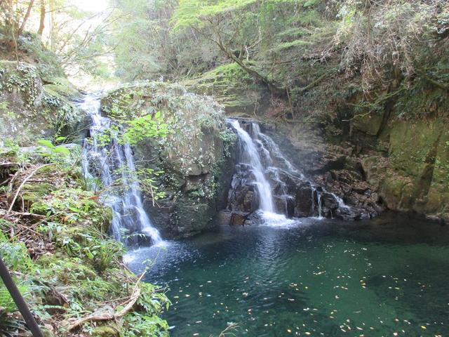 画像3: 10月の山旅会 「大台ヶ原」 ツアーのご案内です!