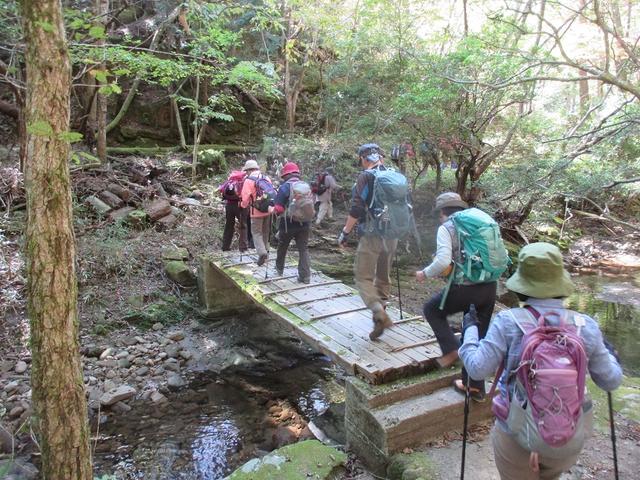 画像1: 10月の山旅会 「大台ヶ原」 ツアーのご案内です!