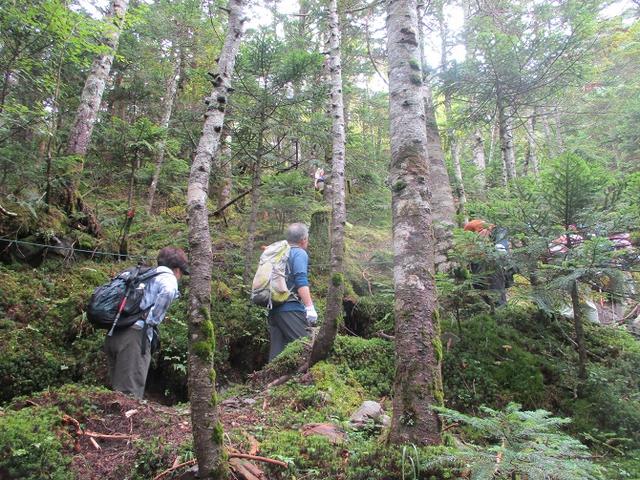 画像4: 先日9月5日に山旅会 「北横岳」 ツアーにいってきました!