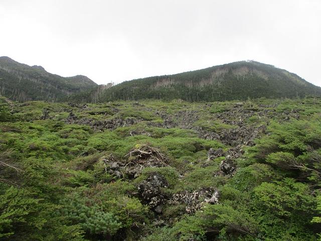 画像3: 先日9月5日に山旅会 「北横岳」 ツアーにいってきました!