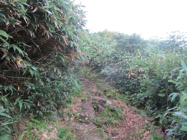 画像2: 来年夏の企画素材を探して鳥海山に行ってきました!