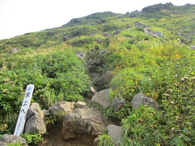 画像11: 来年夏の企画素材を探して鳥海山に行ってきました!