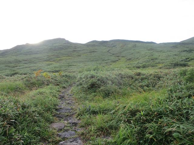 画像4: 来年夏の企画素材を探して鳥海山に行ってきました!