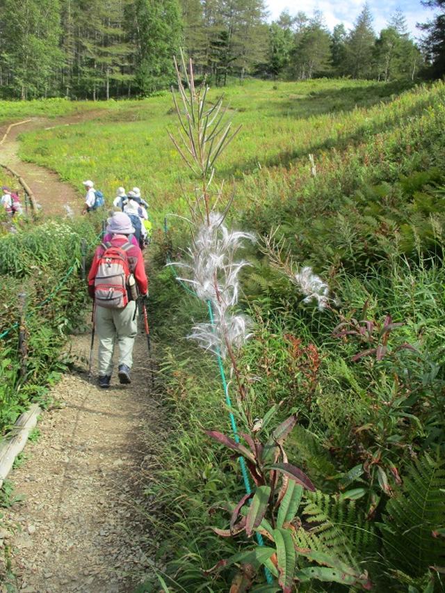画像10: 9月12日に山旅会 「入笠山」 ツアーに行ってきました!