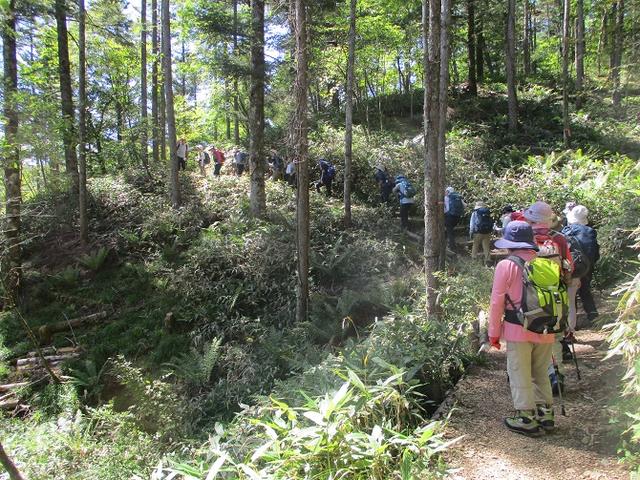 画像1: 9月12日に山旅会 「入笠山」 ツアーに行ってきました!