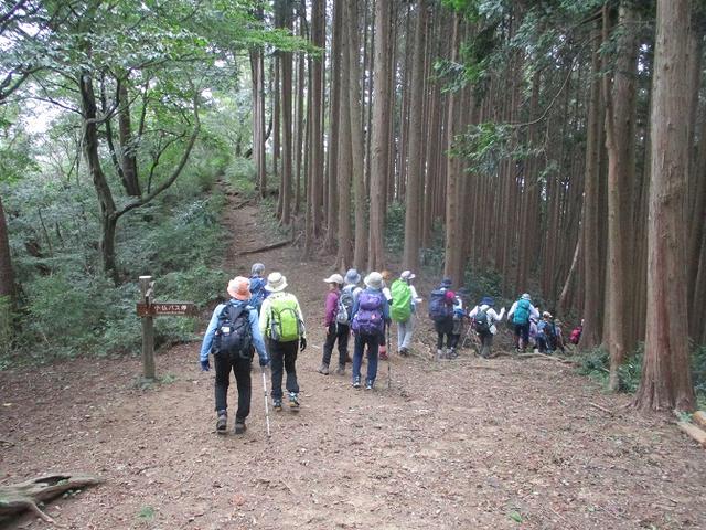 画像11: 9月14日に山旅会 「城山から景信山」 ツアーに行ってきました!