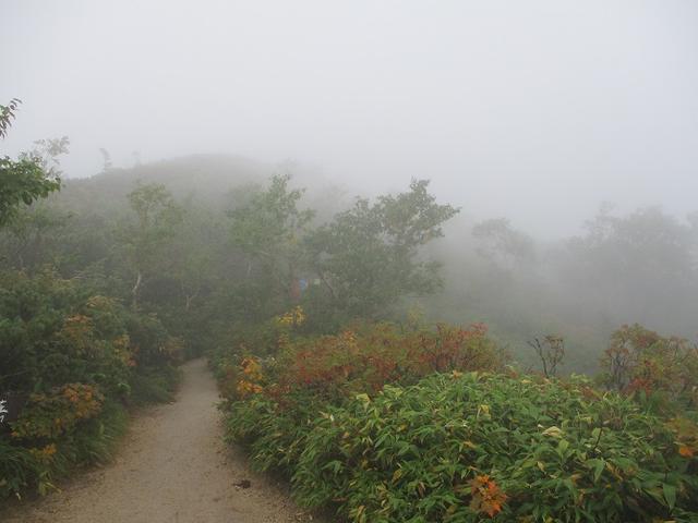 画像6: 9月17日より山旅会 「燕岳」 ツアーに行ってきました!