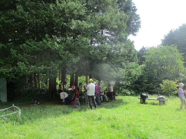 画像4: 9月20日に山旅会 「ユガテ~日和田山~巾着田」 ツアーに行ってきました!