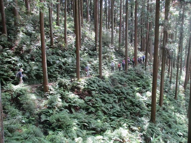 画像5: 9月20日に山旅会 「ユガテ~日和田山~巾着田」 ツアーに行ってきました!