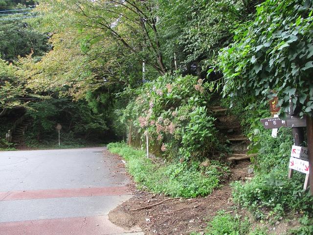 画像3: 【山旅会・登山ガイドこだわりツアー】岡田ガイドからの便り・大霧山ツアーの下見に行ってきました!