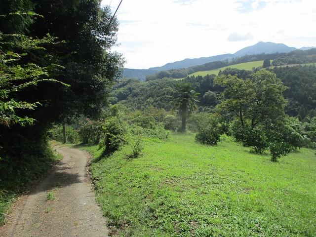 画像8: 【山旅会・登山ガイドこだわりツアー】岡田ガイドからの便り・大霧山ツアーの下見に行ってきました!